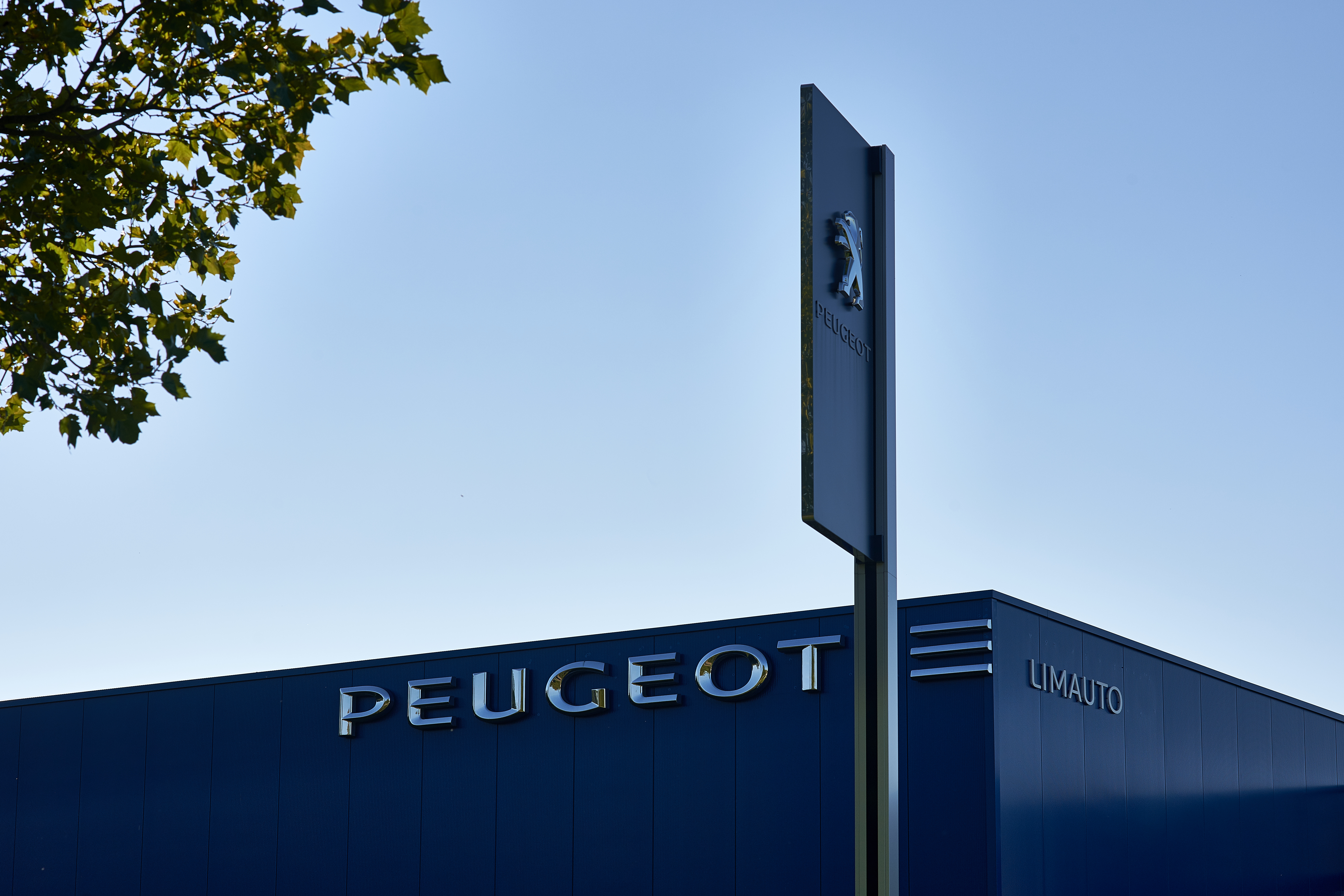 Het aantal nieuw verkochte auto's groeide met 1,3%. De belangrijkste omzetstijging in het eerste halfjaar van 2015 werd verkregen door het sluiten van aanpalende vestigingen.