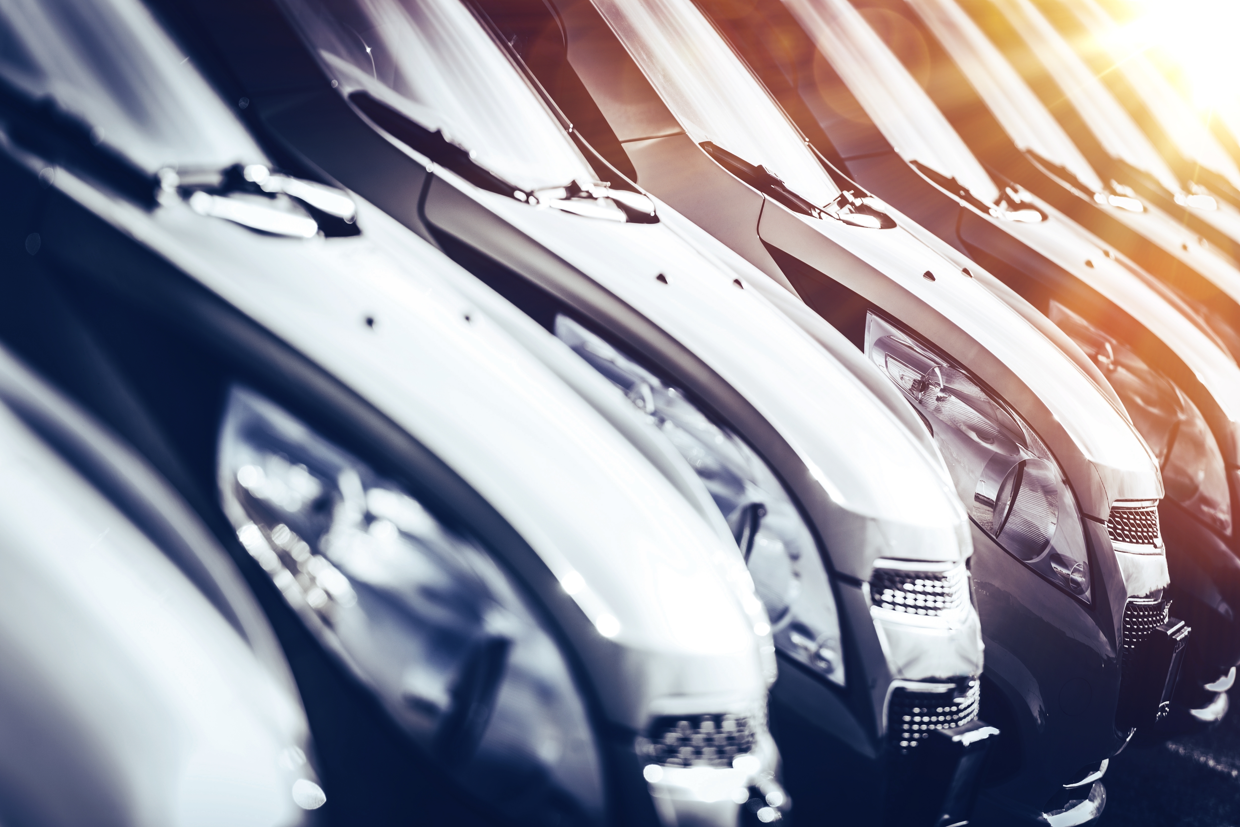 Vooruitkijken met experts. Deze week met expert Frank Ruygrok