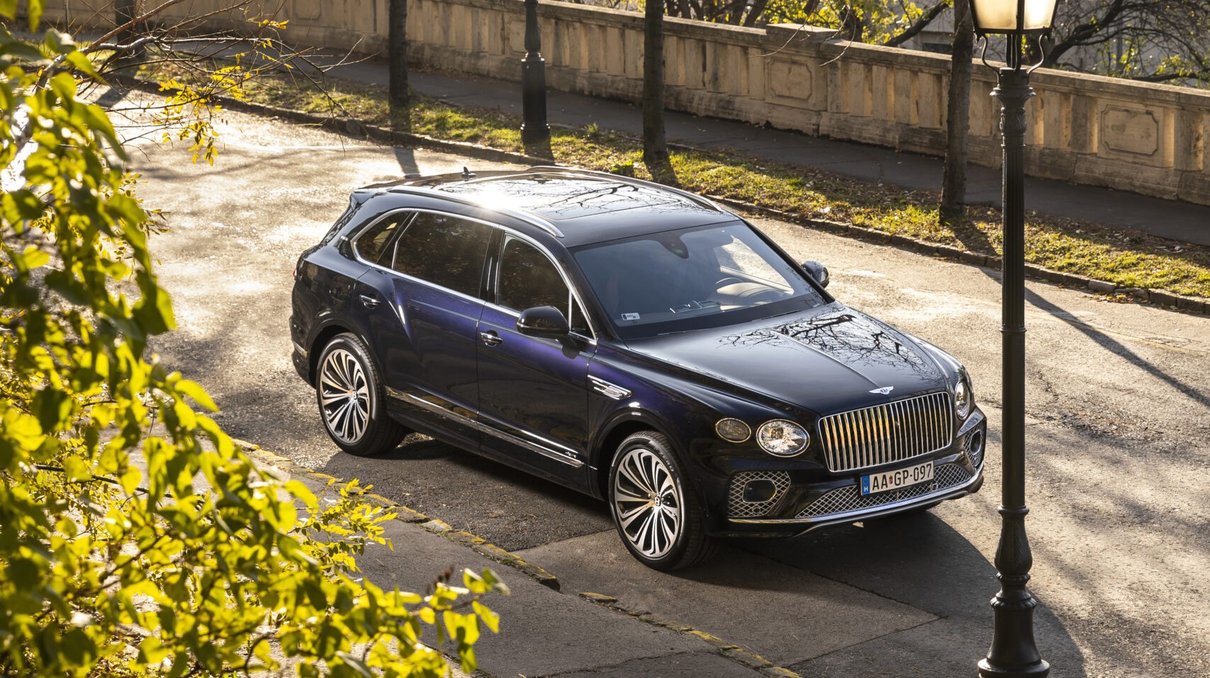 Bentayga in zijn natuurlijke habitat. Lukt het GMTO om een chronisch zieke soortgenoot weer gezond te krijgen?