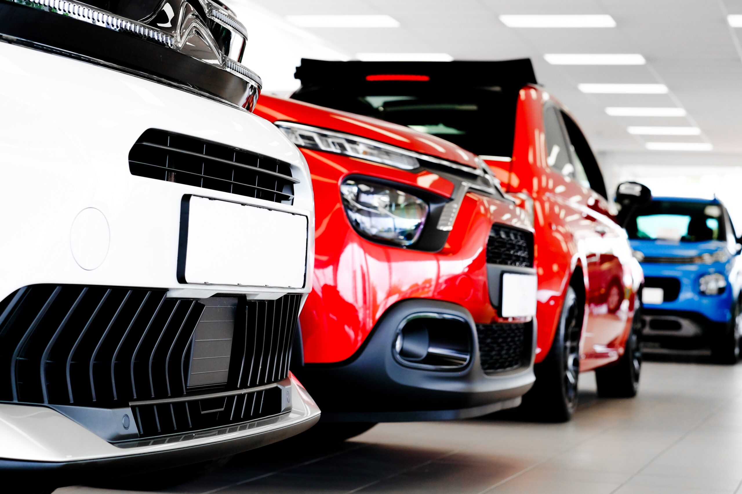 Foto: ANP / Hollandse Hoogte / Stock Images Zeeland