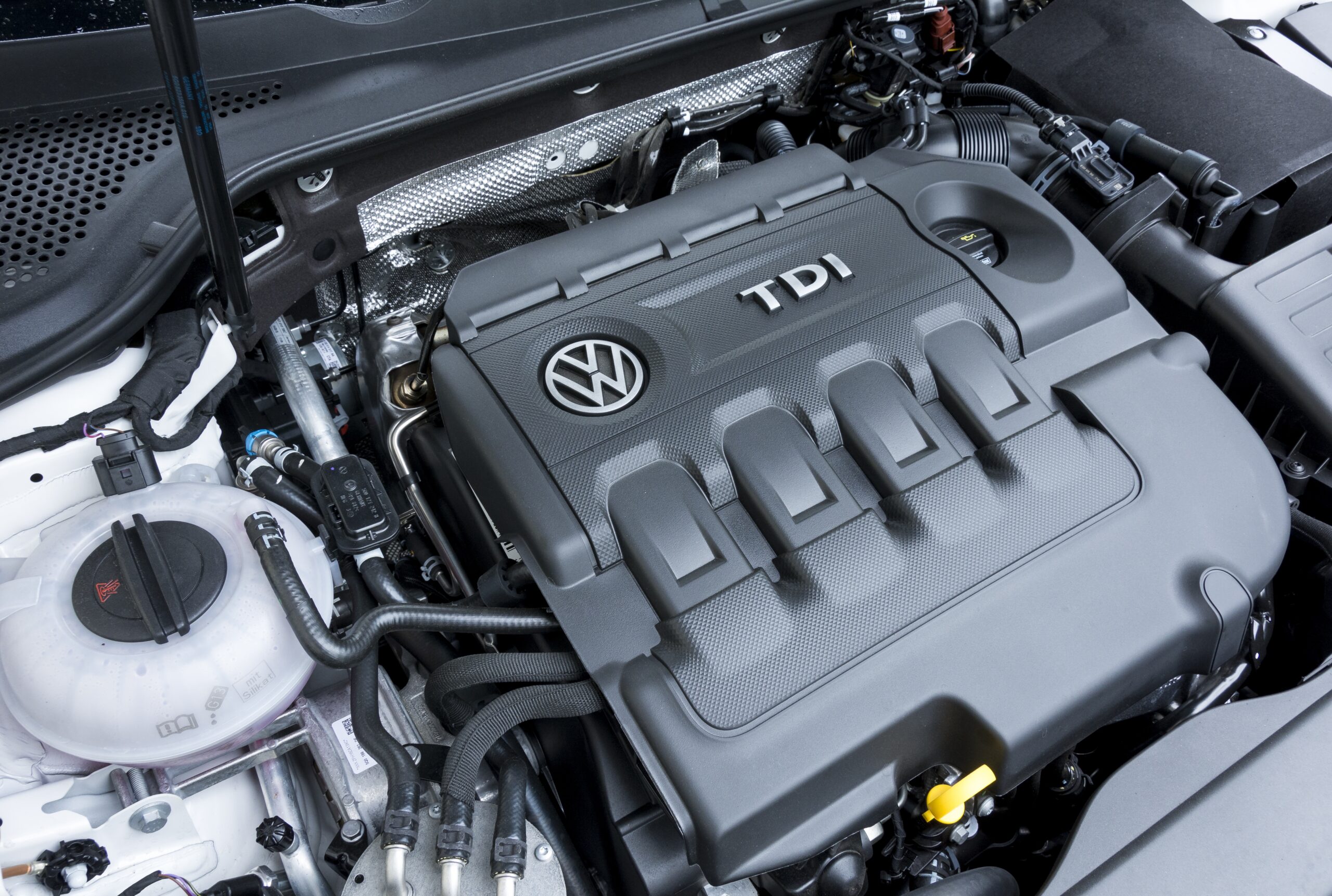 Foto: Lex van Lieshout / ANP